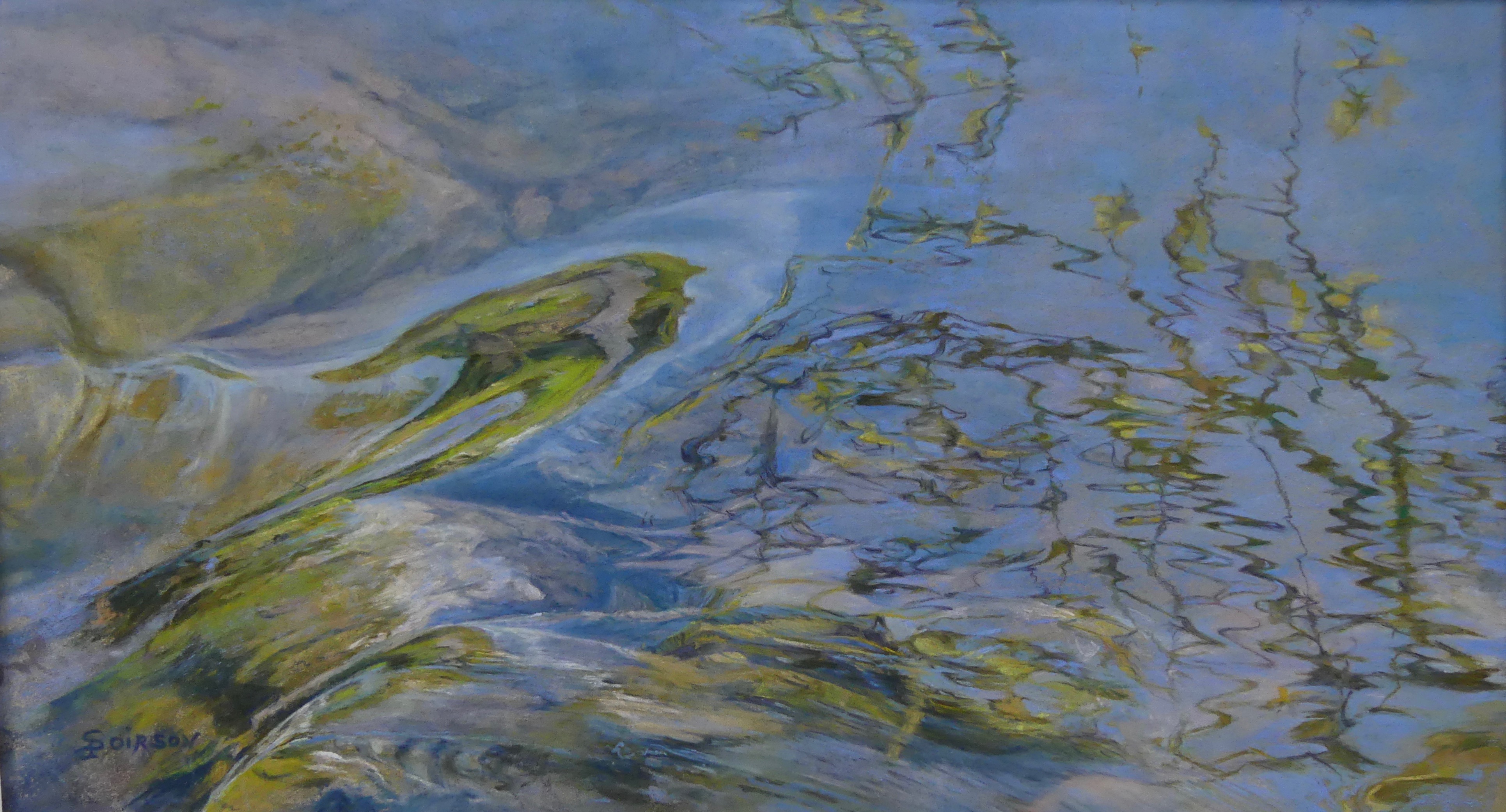 reflections of vegetation on the water - pastel from sylvie poirson