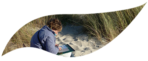 Sylvie Poirson peindre en bord de dunes